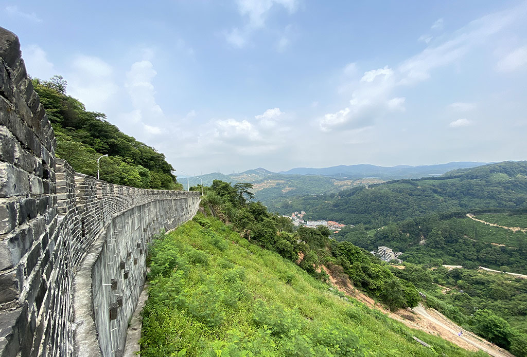 d85957cc31c4fcd5e36e1c72649fe1b