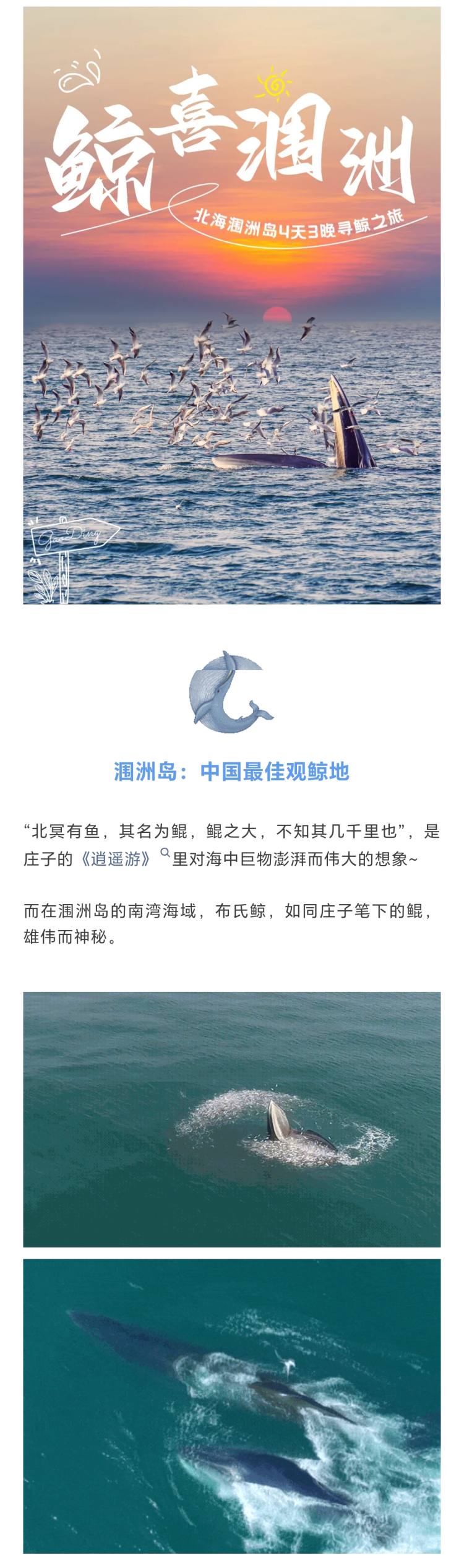 微信图片_20250110132307